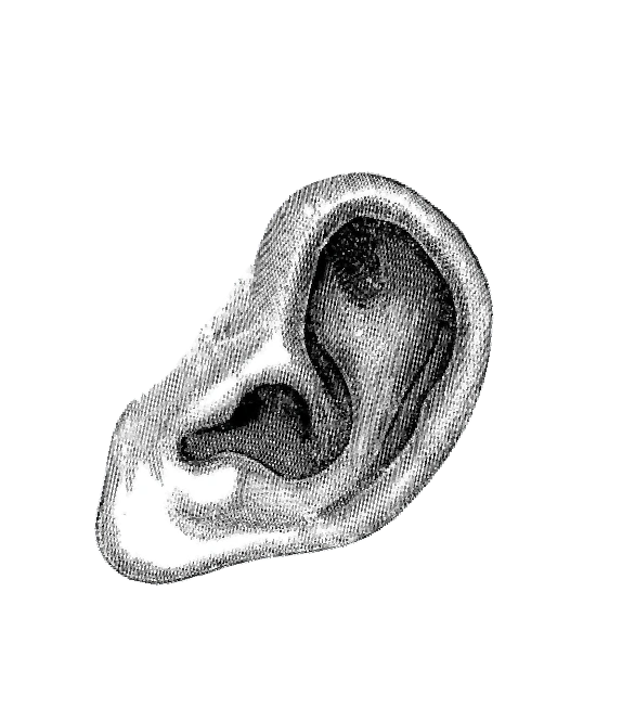 Ear Ornament